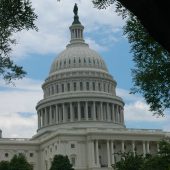  The US Capitol Washington DC